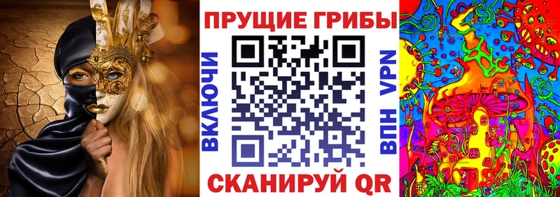 купить наркоту  Дятьково  Псилоцибиновые грибы прущие грибы 