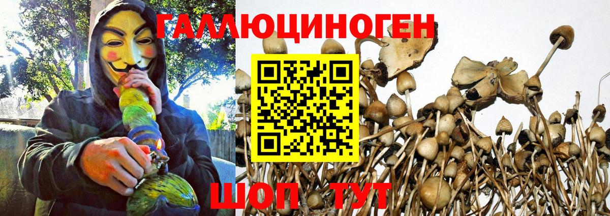 Псилоцибиновые грибы GOLDEN TEACHER  Псилоцибиновые грибы ЛСД  Вход с VPN  Дятьково 